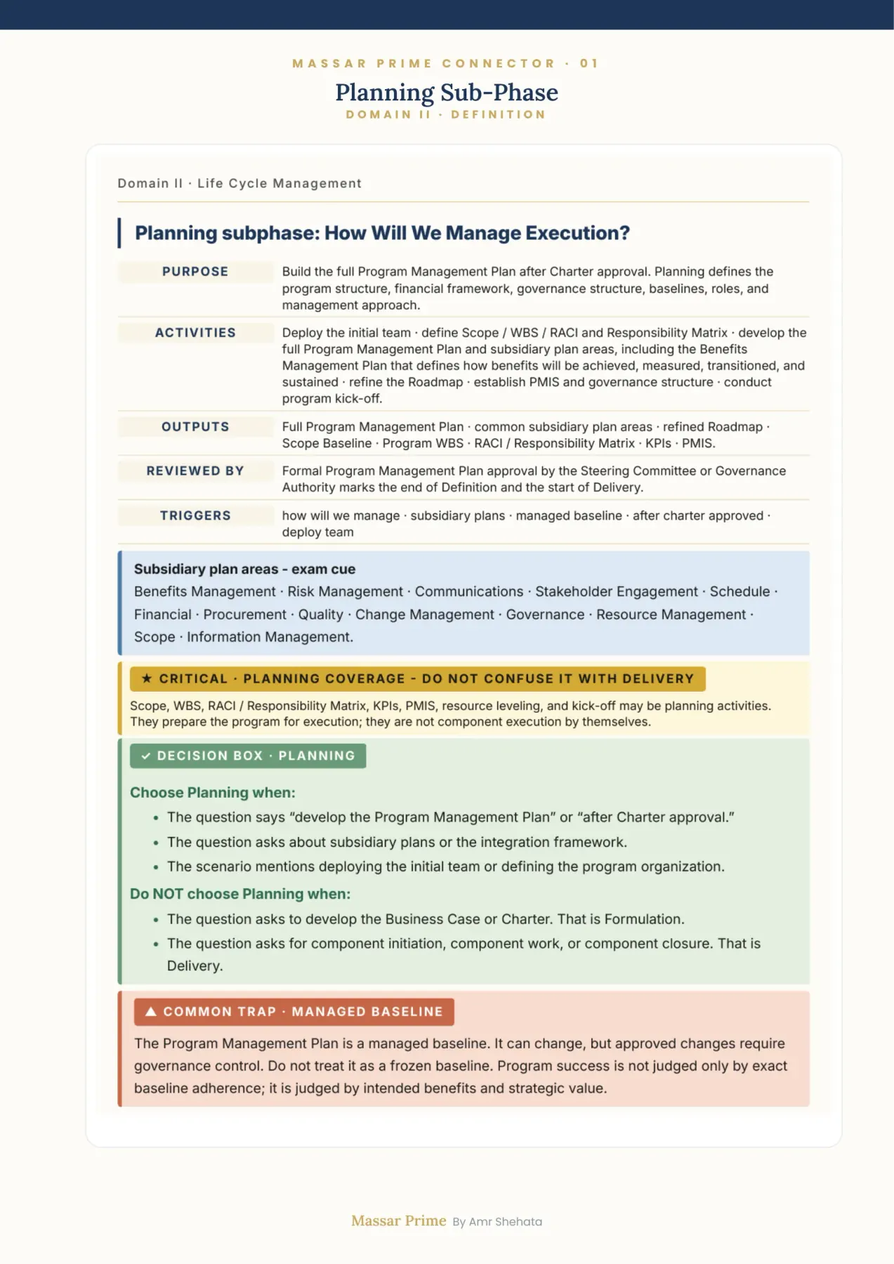Program planning sub-phase decision cues.